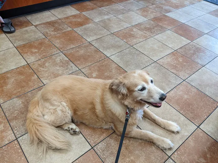 Banfield Pet Hospital 9