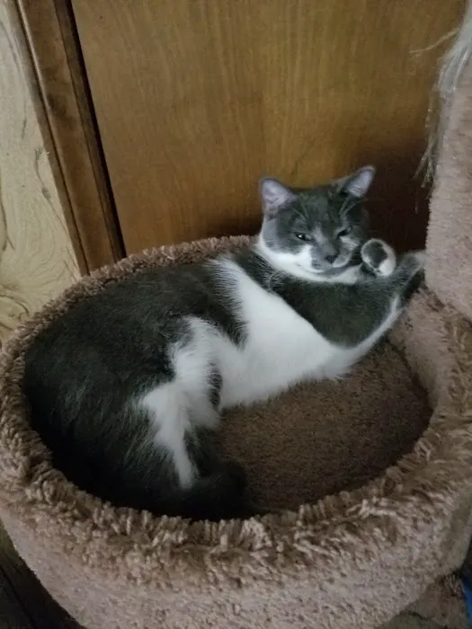 Banfield Pet Hospital 2