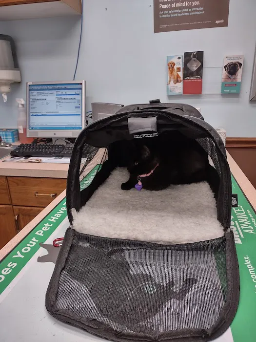 Mountain View Animal Hospital 9