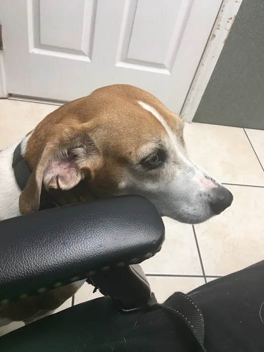 Mountain View Animal Hospital 3