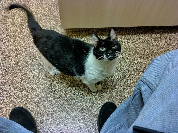 West Innes Animal Hospital 7