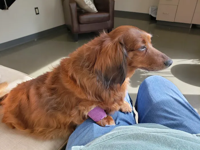 Rowan Animal Clinic 4