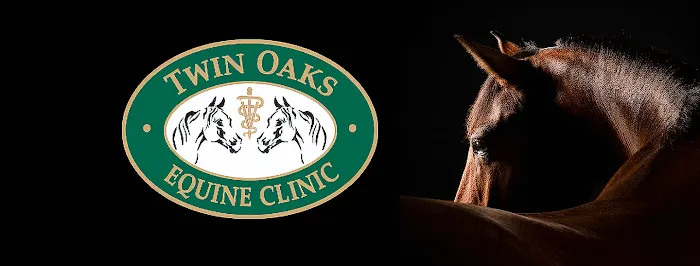 Twin Oaks Equine Clinic 1