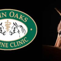 Twin Oaks Equine Clinic ico