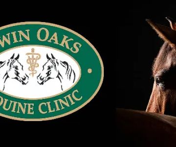 Twin Oaks Equine Clinic
