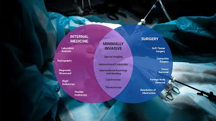 MISCA-Minimally Invasive Specialty Center for Animals 8