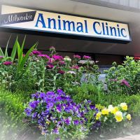 Milwaukie Animal Clinic ico