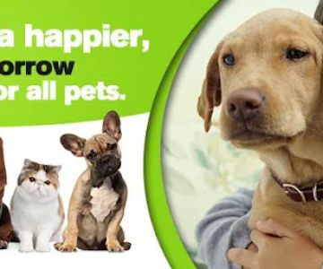 Willamette Valley Animal Hospital of Gladstone