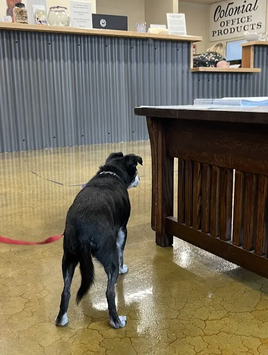 Willamette Valley Animal Hospital of Gladstone 5