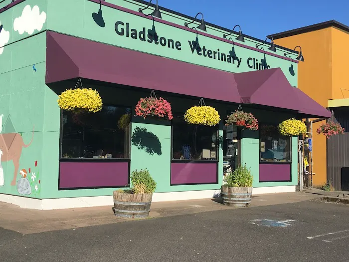 Gladstone Veterinary Clinic 10