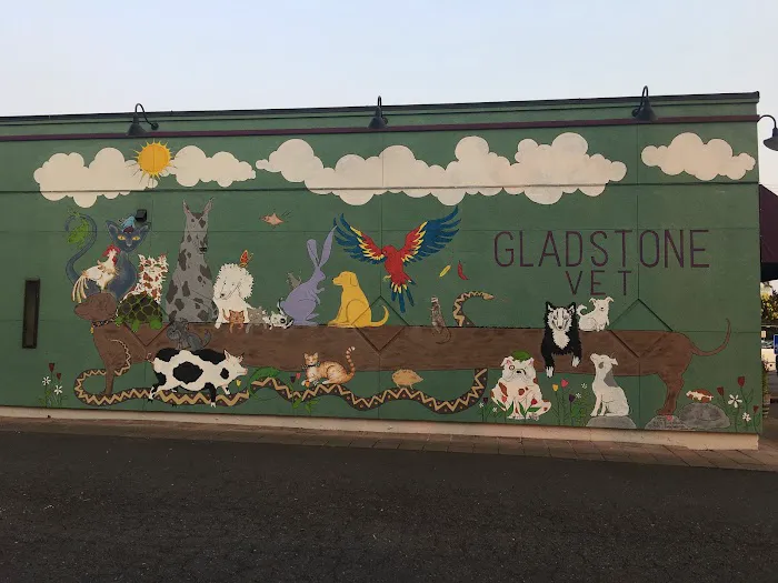 Gladstone Veterinary Clinic 7