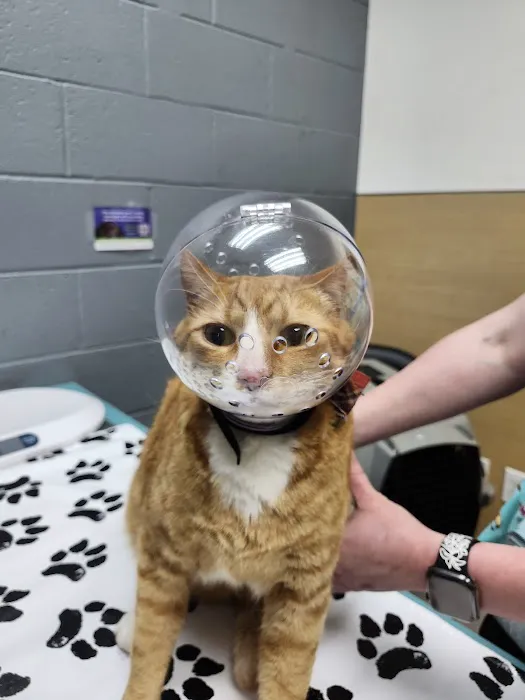 Clackamas Pet Clinic 5