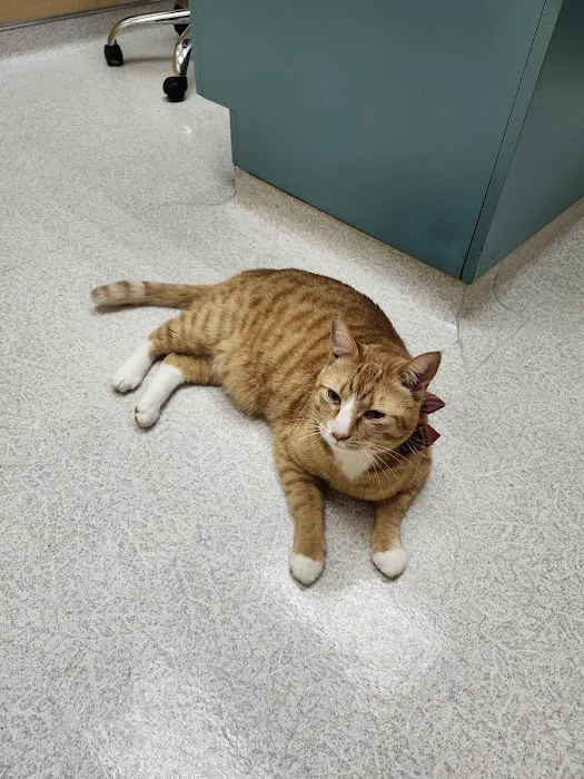 Clackamas Pet Clinic 2