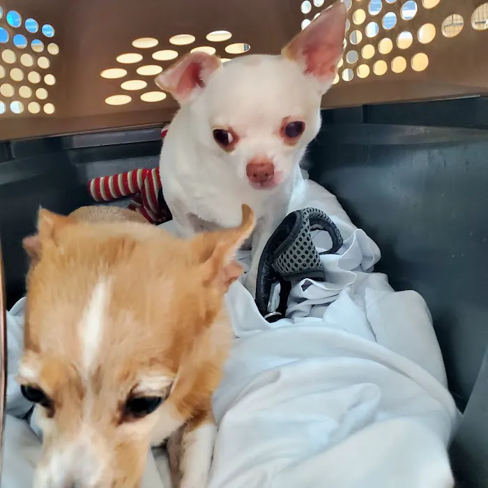 Clackamas Pet Clinic 3