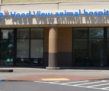VCA Hood View Animal Hospital