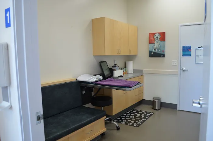 VCA Hood View Animal Hospital 8
