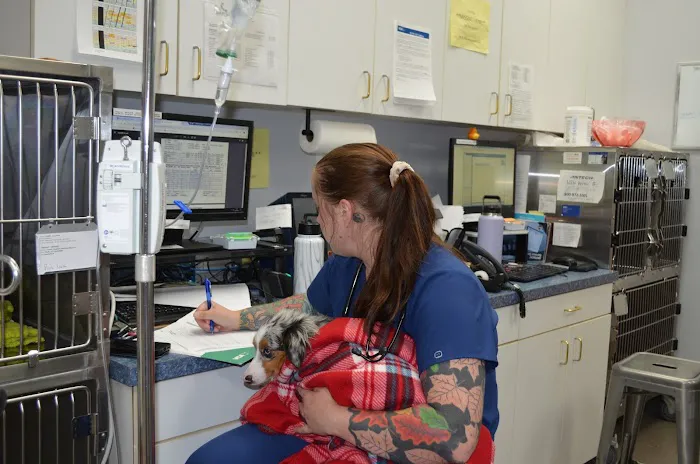 VCA Hood View Animal Hospital 9