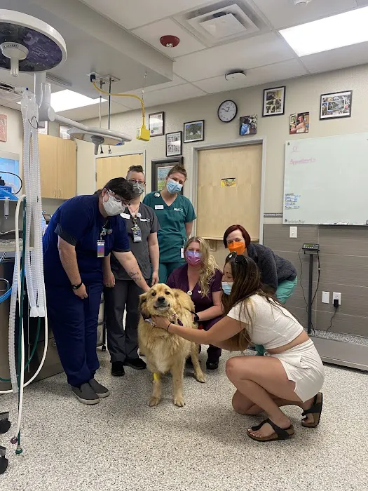 VCA Northwest Veterinary Specialists 3