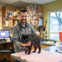 VCA Northwest Veterinary Specialists ico