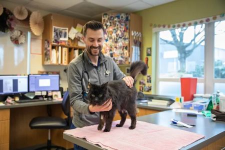 VCA Northwest Veterinary Specialists