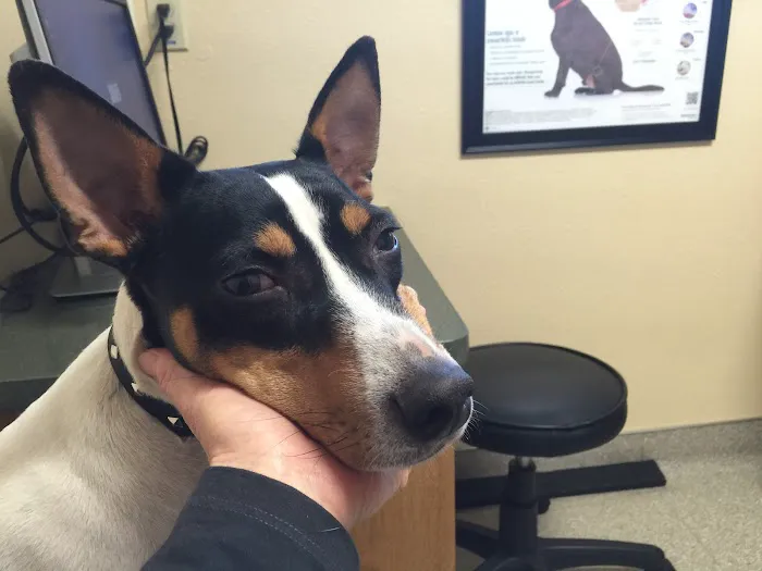 VCA Northwest Veterinary Specialists 6