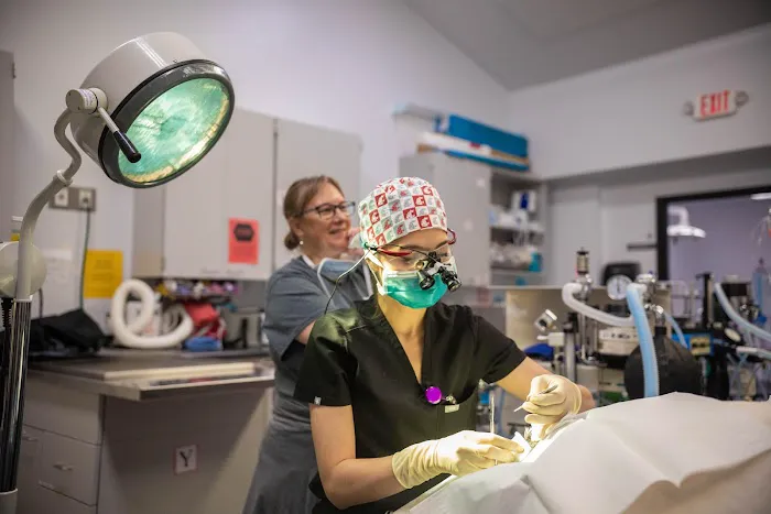 VCA Northwest Veterinary Specialists 9