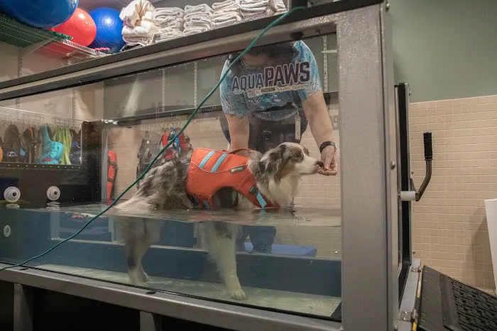 VCA Northwest Veterinary Specialists 10