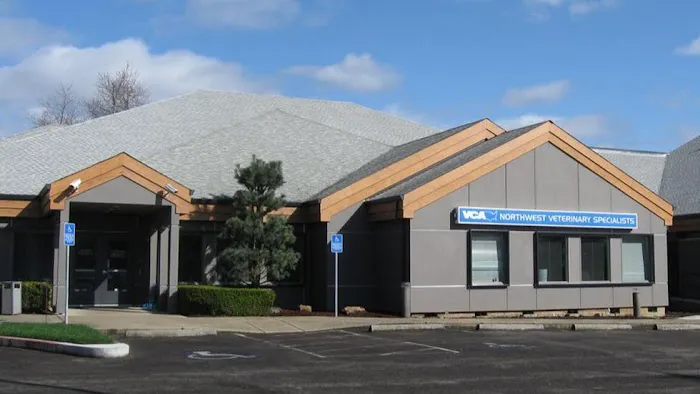 VCA Northwest Veterinary Specialists 8