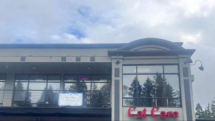 Cat Care Professionals 1