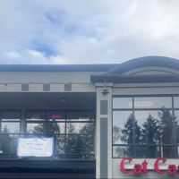 Cat Care Professionals ico