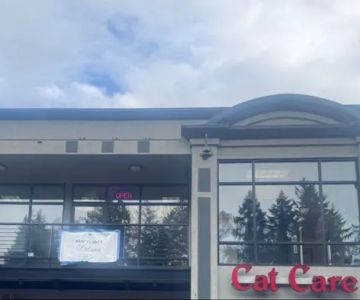 Cat Care Professionals