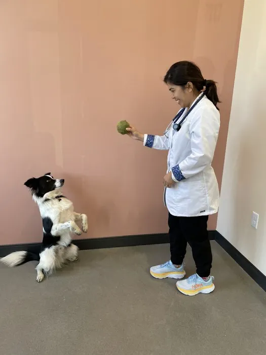 Narra Veterinary Clinic 7