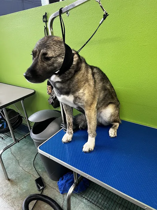 Willamette Valley Animal Hospital of Tualatin 2