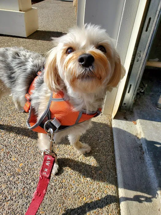 Willamette Valley Animal Hospital of Tualatin 8