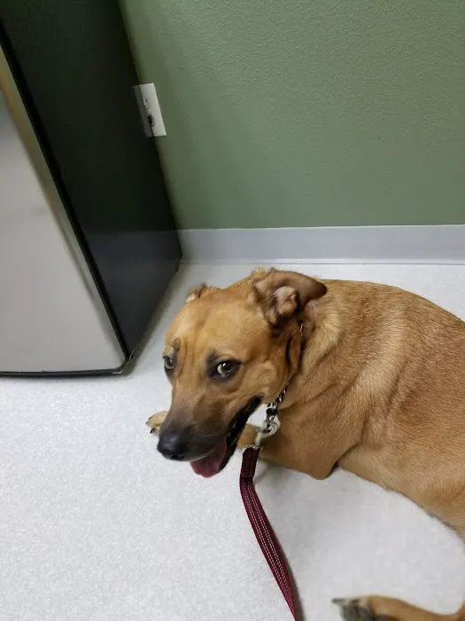 Willamette Valley Animal Hospital of Tualatin 5