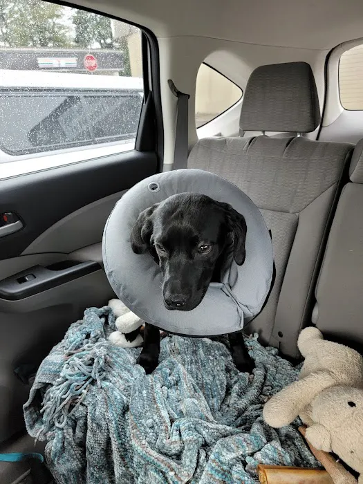 Willamette Valley Animal Hospital of Tualatin 10