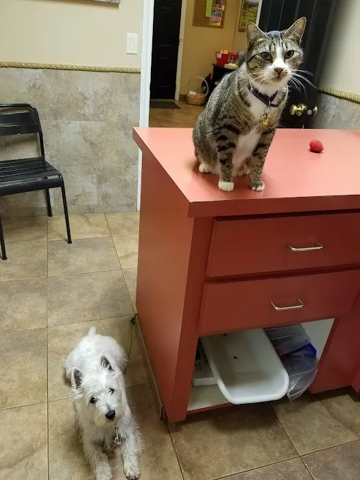 Tualatin Park Veterinary Clinic 5