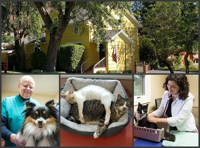 Tualatin Park Veterinary Clinic 10