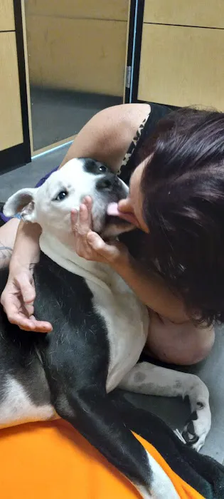 Tualatin Animal Clinic 5