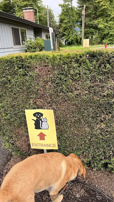 Tualatin Animal Clinic 3