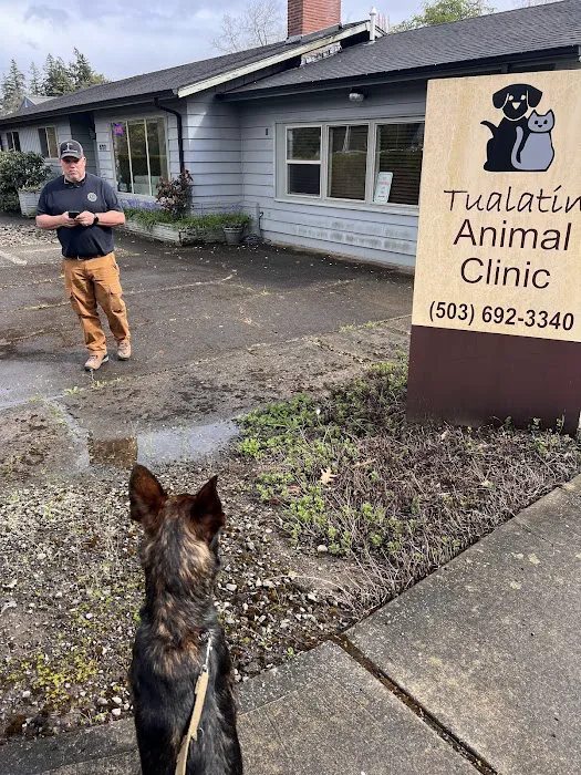 Tualatin Animal Clinic 6