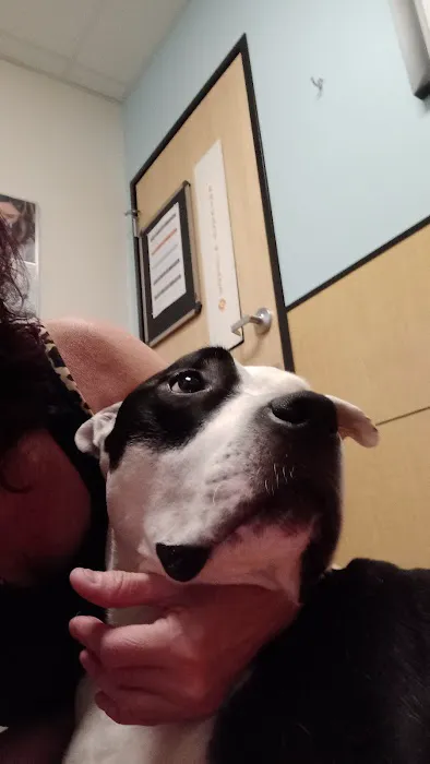 Banfield Pet Hospital 2