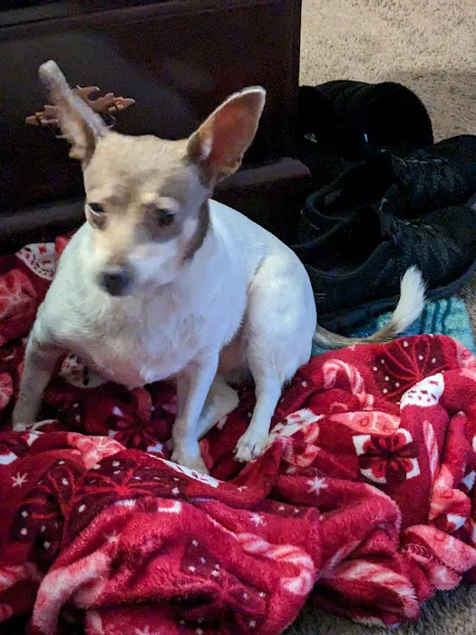Banfield Pet Hospital 4