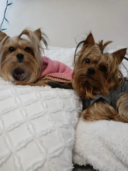 Banfield Pet Hospital 1