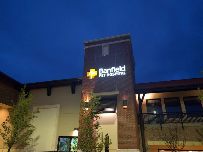 Banfield Pet Hospital 7