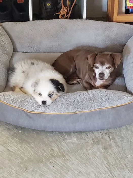 Banfield Pet Hospital 9