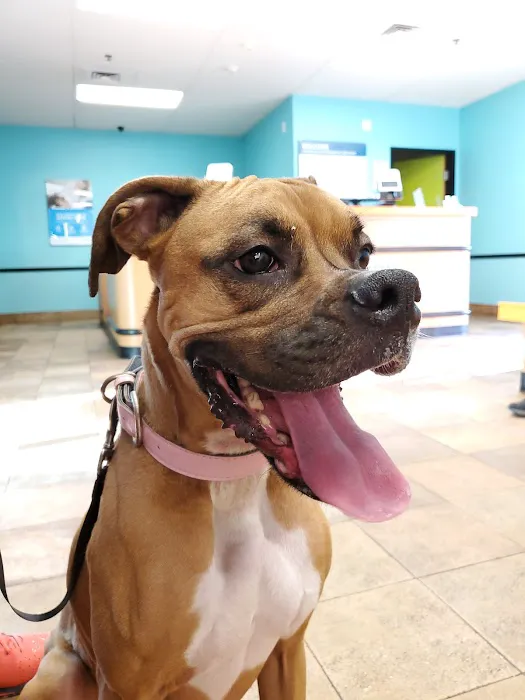 Banfield Pet Hospital 3