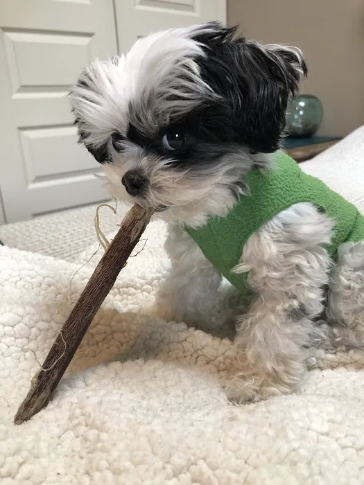 Emergency Veterinary Clinic of Tualatin 4
