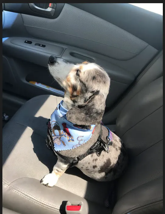 Emergency Veterinary Clinic of Tualatin 10