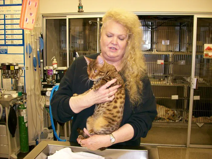 VCA Ocean Beach Animal Hospital 9